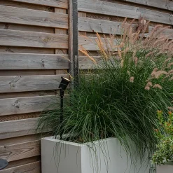 Spot orientable à piquer noir réglable IP44 avec cordon et prise - Basic