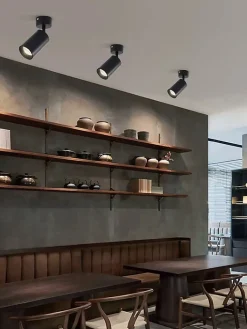 Spot Plafonnier et Applique Murale CEILUM en Aluminium Noir avec Douille GU10, Orientable à 360