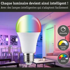 Standard 230 V Smart Home Zigbee 3.0 Ampoule LED E27 1055lm 11W RGBW+ gradable Dépoli