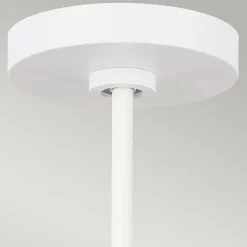 Suspension à 1 lumière Elstead Darwin, blanc mat, E27