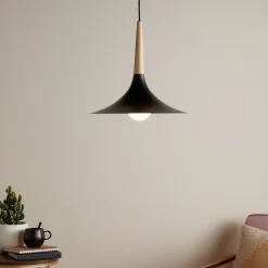 Suspension Arraqis E27 IP20 noir 38cm