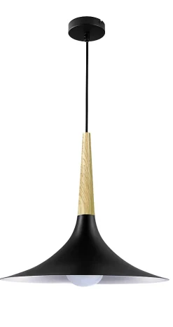 Suspension Arraqis E27 IP20 noir 38cm