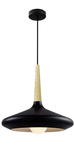 Suspension Arraqis E27 IP20 noir 36cm