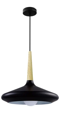 Suspension Arraqis E27 IP20 noir 36cm