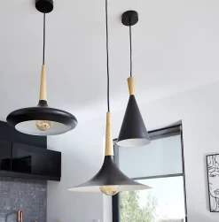 Suspension Arraqis E27 IP20 noir 36cm