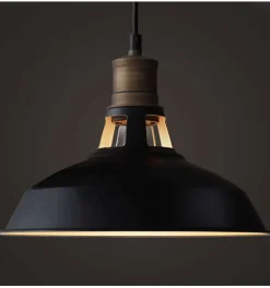 Suspension gamelle noire - Aster