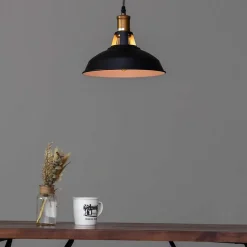 Suspension gamelle noire - Aster