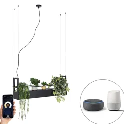 Suspension intelligente noire avec support incl. 4 GU10 Wifi - Cage Rack