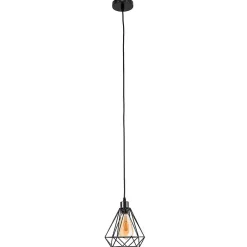 Suspension Loft Alambra Largo E27 lampe suspendue en acier et plastique noir Cage: 20x23, IP20, 230V style industriel EDO777193