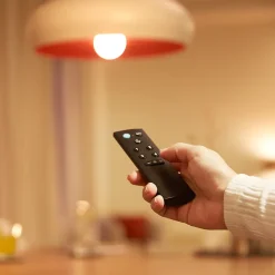 Télécommande WiZmote Philips 13.5 x 7 cm noir