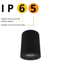 Tube lumineux Prestige Faro noir 1 x GU10 1 pièce
