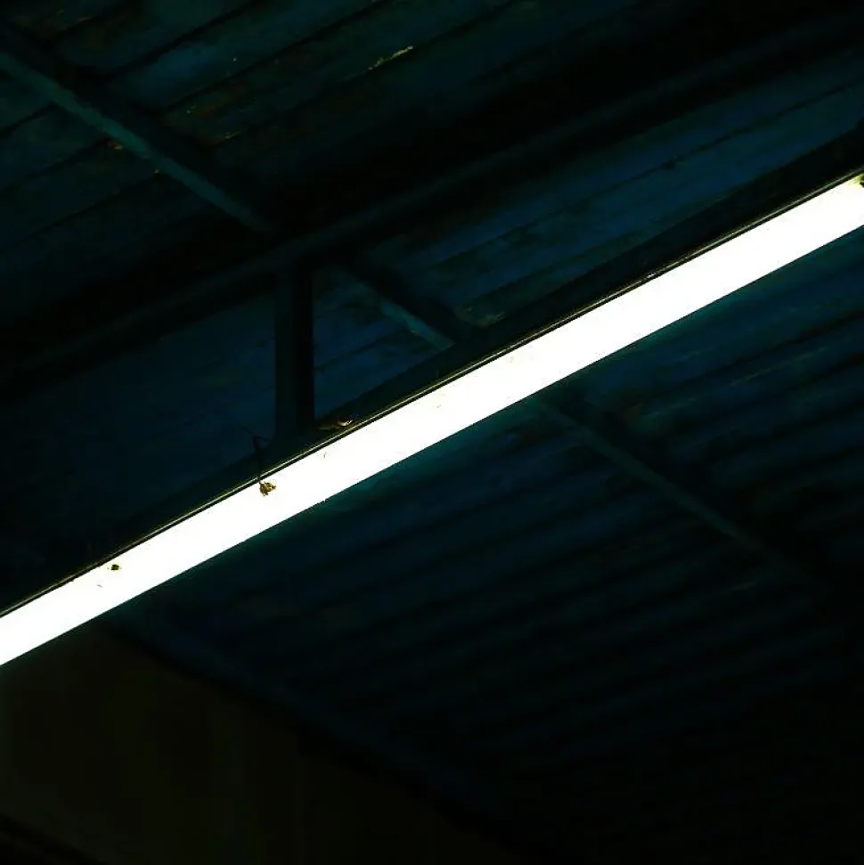 Tube Néon LED 120cm T8 12W IP20 100lm/W - Blanc Froid 6000K - 8000K - SILAMP