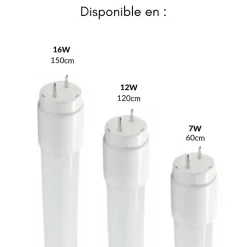 Tube Néon LED 120cm T8 12W IP20 100lm/W - Blanc Neutre 4000K - 5500K - SILAMP