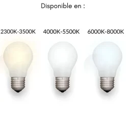 Tube Néon LED T5 60cm 6.5W 2 Têtes - Blanc Chaud 2300K - 3500K - SILAMP