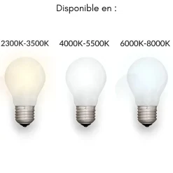 Tube Néon LED T8 60cm 9W Haut Rendement - Blanc Froid 6000K - 8000K - SILAMP