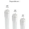 Tube Néon LED T8 120cm 12W (Pack de 25) - Blanc Neutre 4000K - 5500K - SILAMP