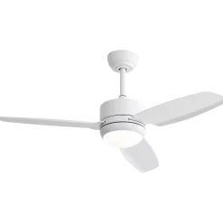 Ventilateur de plafond 46