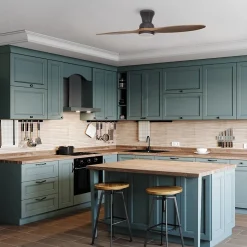 Ventilateur de plafond à deux pales et lumière