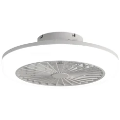 Ventilateur de plafond 18