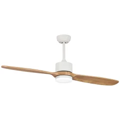 Ventilateur de plafond avec lumière à deux pales