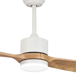 Ventilateur de plafond avec lumière à deux pales