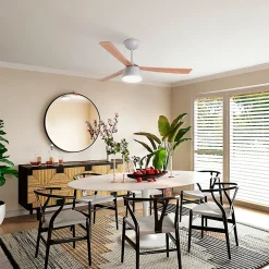 Ventilateur de plafond avec lumière et Wi-Fi