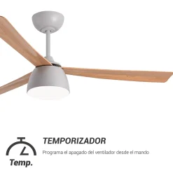 Ventilateur de plafond avec lumière et Wi-Fi