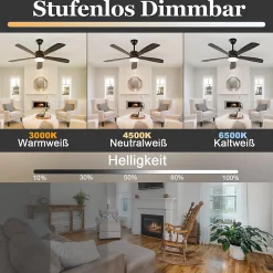 Ventilateur de plafond NETTLIFE avec éclairage LED silencieux à intensité variable 23W Noir 125 cm Ventilateurs avec lumière