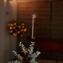 Ventouses transparente en plastique Fix grande ø3,2 cm (x 15)