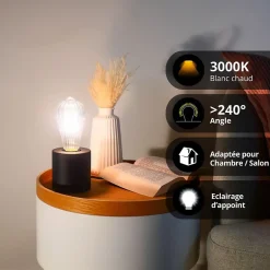 Xanlite - Ampoule Filament LED déco verre ciselé ST64, culot E27, 240 Lumens, Blanc chaud - RFDE240STSTRS