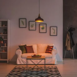 Xanlite - Ampoule LED A60, culot B22, 9W cons. (60W eq.), lumière blanc chaud - EB806G