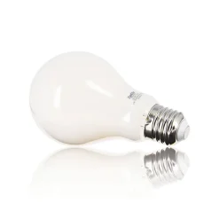 Xanlite - Ampoule LED A70 Opaque, culot E27, conso. 17W, 2452 Lumens, Blanc chaud - RFE2452GO