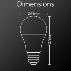 Xanlite - Lot de 2 ampoules LED A60 - culot E27 - classique - PACK2EE1521G