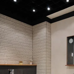 Xanlite - Spot GU10 50W 4000K Carré Noir IP44 - SP50CIP44NCW