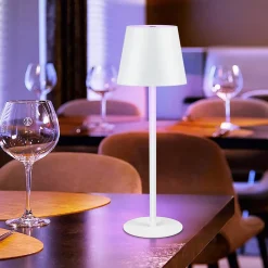 ZMH Lampe De Table Sans Fil Variable Rgb Whonzimmer Ip54 Lampe De Lit USB Pour Bureau