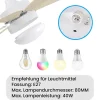 ZMH Ventilateur de plafond avec éclairage Lumière LED 6 Pales Télécommande Silencieux (Salle à Manger)