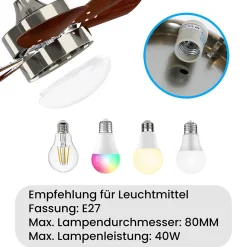 ZMH Ventilateur de plafond avec éclairage 6 Pales- Silencieux Télécommande Été/Hiver ( Sans Ampoule) 75cm