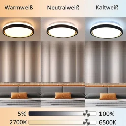 ZMH Plafonnier LED 30cm Dimmable Avec Télécommande 18w Noir Or Moderne