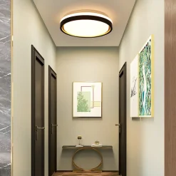 ZMH Plafonnier LED 30cm Dimmable Avec Télécommande 18w Noir Or Moderne