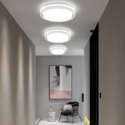 ZMH Plafonnier LED 30cm Dimmable Avec Télécommande 18w Moderne