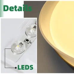 ZMH Plafonnier LED Intensité Variable Noir Avec Télécommande 41.5 Cm Moderne