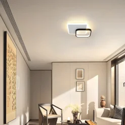 ZMH Plafonnier LED Moderne Noir Blanc Design Acrylique Lampe De Salon