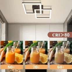 ZMH Plafonnier LED Moderne 2 Flammes 24w Pour Chambre Et Couloir