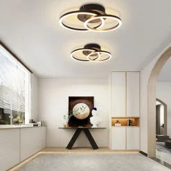 ZMH Plafonnier LED Moderne à 2 Anneaux - Éclairage Intérieur 24w 3000k Pour Salon Et Couloir