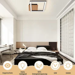 ZMH Plafonnier LED Salon Moderne 12w Lampe De Cuisine Blanc Chaud Noir Rétro Couloir