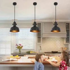 ZMH Suspension Salle à Manger 1 Flamme Noir Suspension Industrielle E27 Fer Couloir